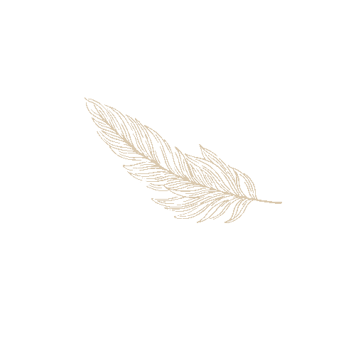 Sparkle Plume Sticker by Ordahé