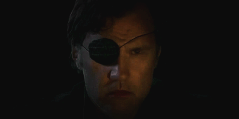 the governor