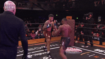 Fight Night Knockout GIF by Dirty Boxing Championship