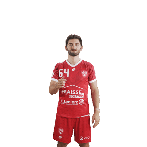 Remi Sticker by Valence Drôme Handball