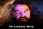 Almost a wizard Harry