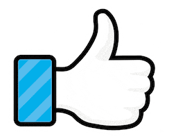 Banco Randon Sticker
