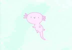 axolotl GIF by CsaK