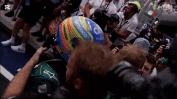 Fernandoalonso Wentpeo Formula1 F1 Alonso GIF