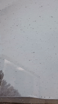 'Giant' Snowflakes Fall in Northern Utah