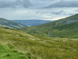 Toby Wagstaff GIF