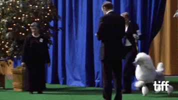 Eugene Levy Running GIF by TIFF