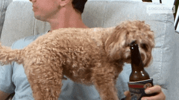Party Drinking GIF by Gogglebox Australia