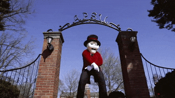 Austin Peay Dancing GIF by Austin Peay State University