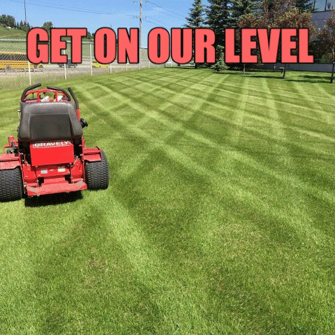 Gravelystripes GIF