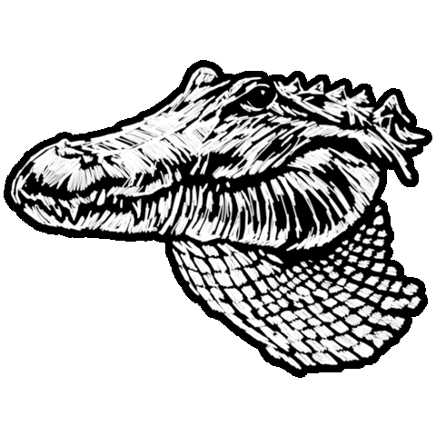 Red Dead Redemption 2 Alligator Sticker by Rockstar Games