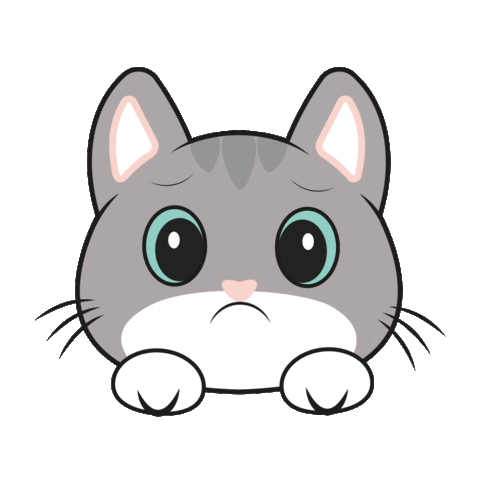 Cat Confundido Sticker
