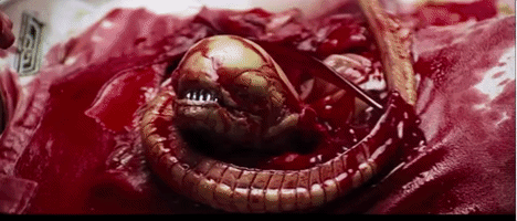 Baby Alien Chestburst GIF