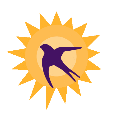 Dita E Veres Sticker by One Albania