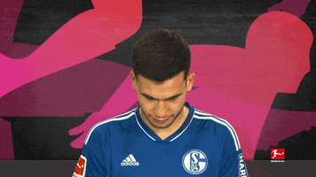 Schalke Aydin GIF by Bundesliga