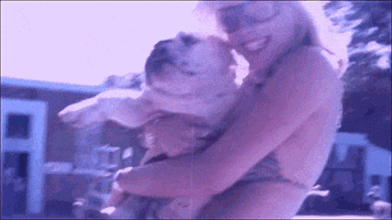 never ever bulldog GIF by All Saints
