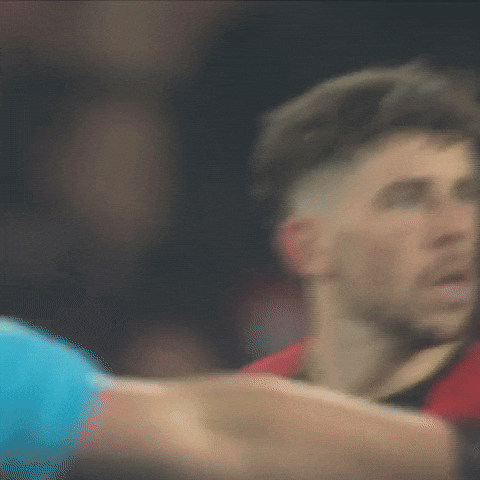 Premier League Smile GIF by AFC Bournemouth