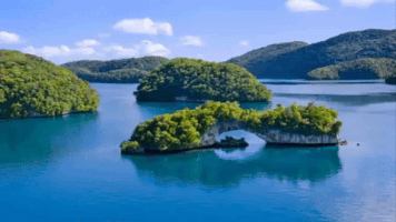 jesuslavaquitaavila  GIF