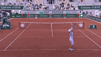 American Reaction GIF by Roland-Garros