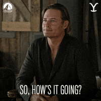How Are You Doing Whats Up GIF by Yellowstone