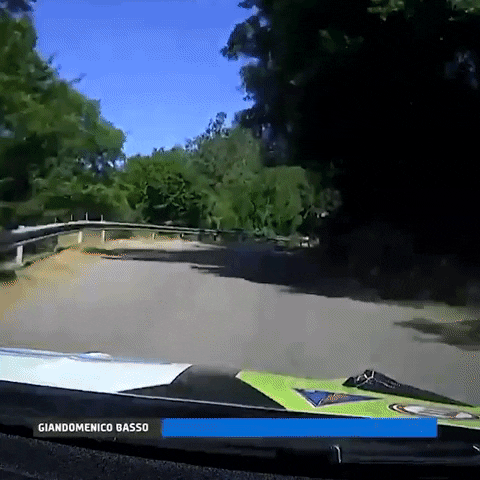 Racing Driving GIF by FIA European Rally Championship