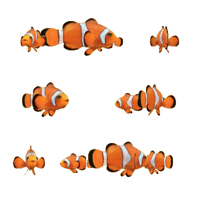 Finding Nemo 3D Sticker