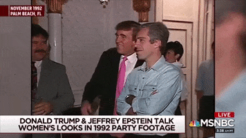 Trump Epstein GIF