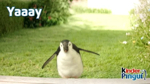 giphy.webp