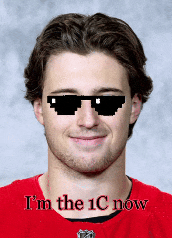 Red Wings Hockey GIF