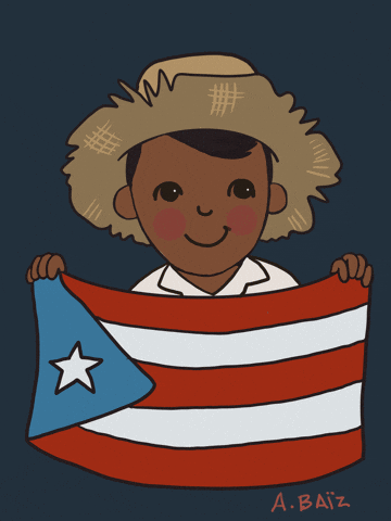 Puerto Rico Flag GIF by Alejandra Baiz