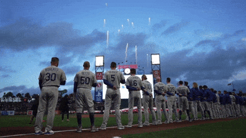 La Dodgers Baseball GIF by MLB