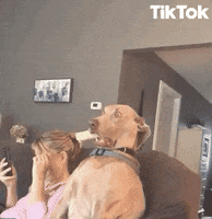 Funny Face Reaction GIF by TikTok