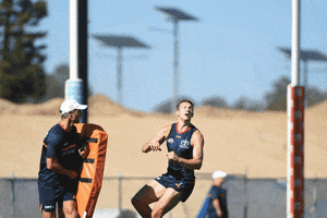 Afc Media GIF by Adelaide Crows