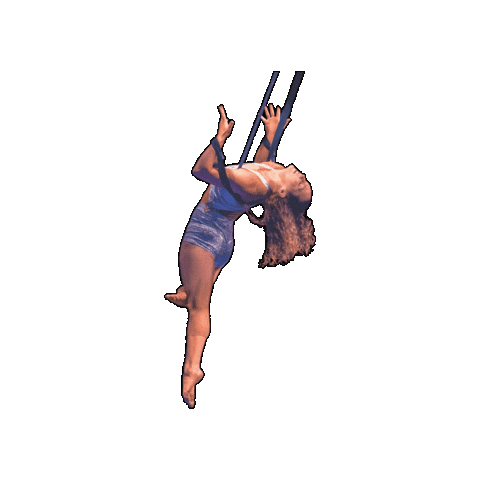 Circus Aerialist Sticker by Ringling Bros. and Barnum & Bailey