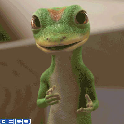 Disbelief No GIF by GEICO