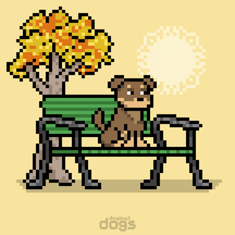 Good Afternoon Waiting GIF by Doginal Dogs