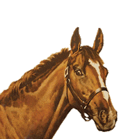 Horse Love Sticker by Milton Menasco