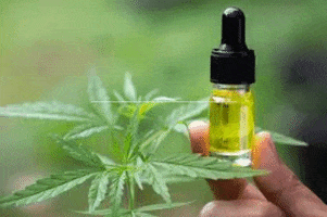 Cbd GIF