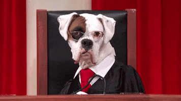 funny dogs justice john oliver supreme court GIF