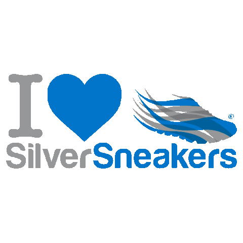 tivity silver sneakers