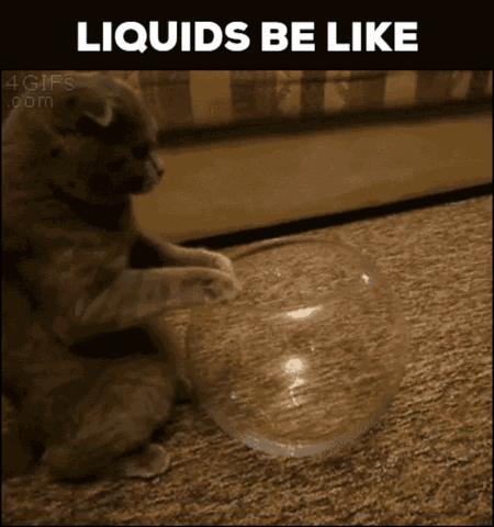 Seneca GIF