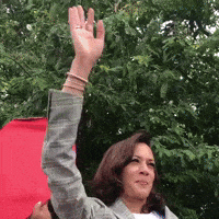 Kamala Waving gifs - Find & Share on GIPHY