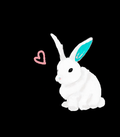 Coelho Love Rabbit Miafrois GIF