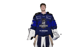 Happy Ice Hockey Sticker by Nidaros Hockey