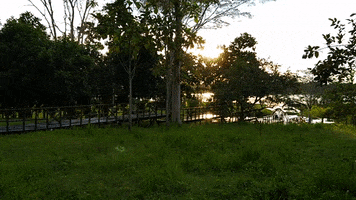 Naturaleza GIF