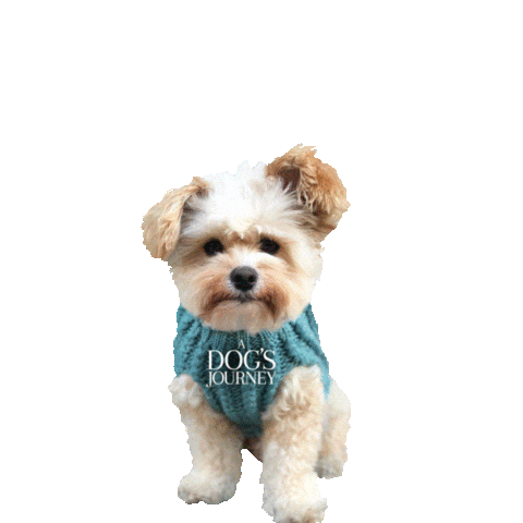 A Dogs Purpose Dog Sticker by A Dog's Journey