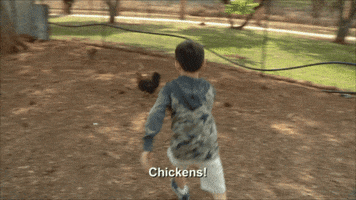90 Day Fiance The Other Way Chicken GIF by TLC