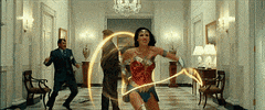 Wonder Woman Fighting GIF