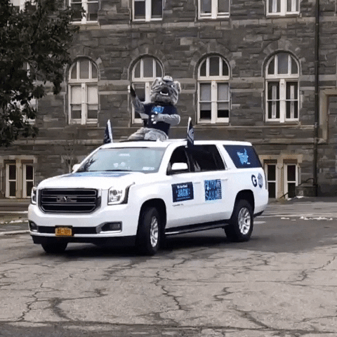 Georgetown Alumni GIF