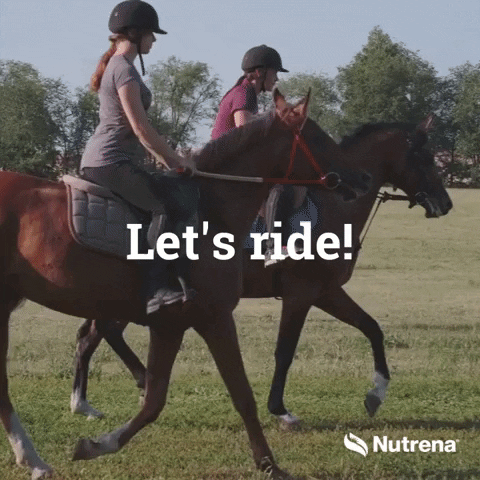 Horse Lets Ride GIF by Nutrena Feed